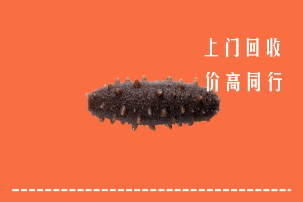 阳新县回收海参