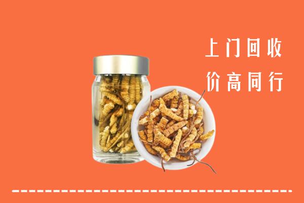 阳新县回收冬虫夏草