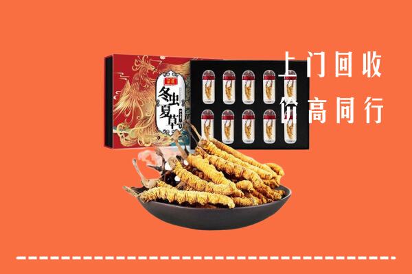 阳新县回收虫草
